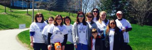 2015 March of Dimes LP Team