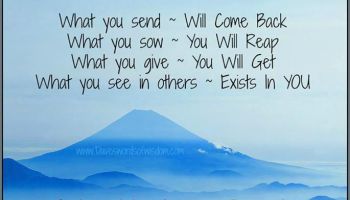 What You Send