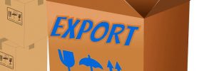 Export-Box-Banner