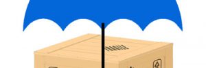 Shippers' Interest Cargo Insurance