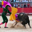 Bullring