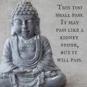 This Too Shall Pass
