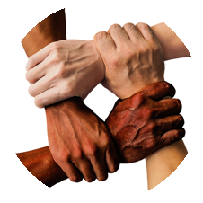 Supplier Diversity