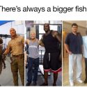 Bigger Fish