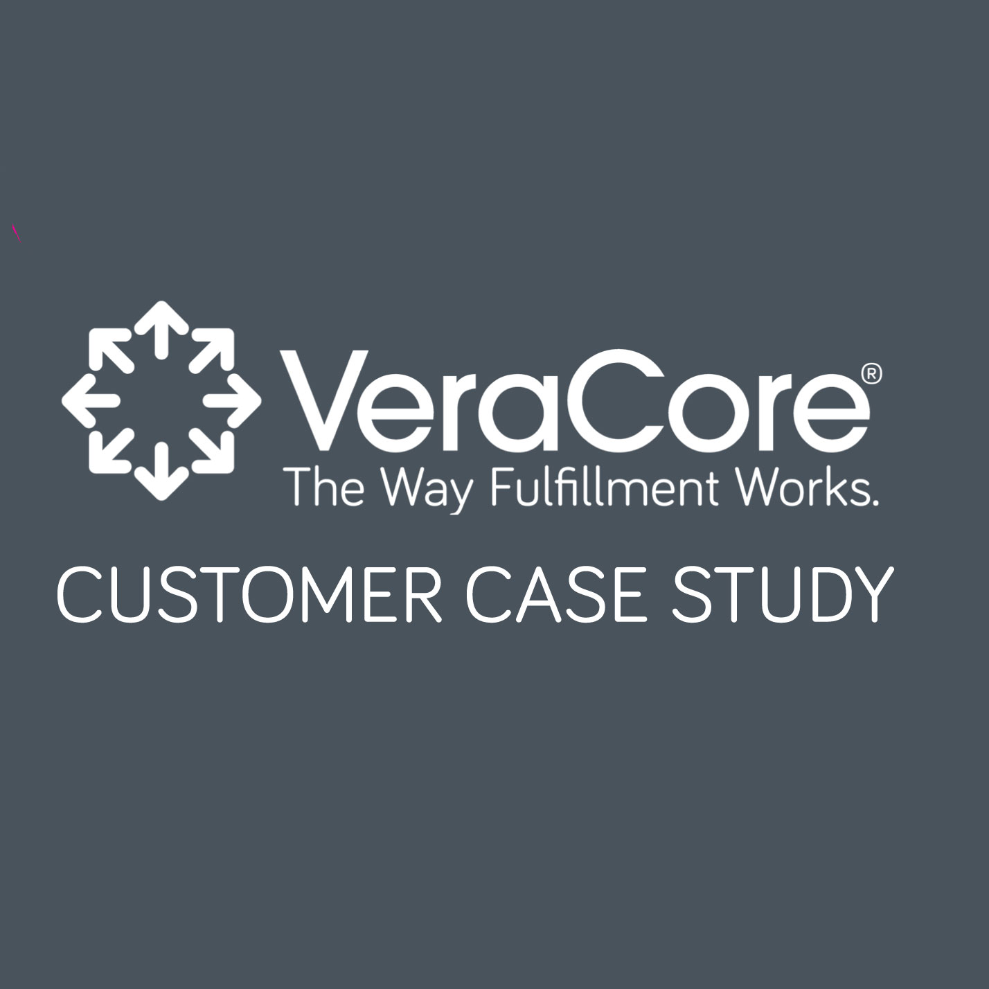 Logistics Plus Profiled by VeraCore Software Solutions