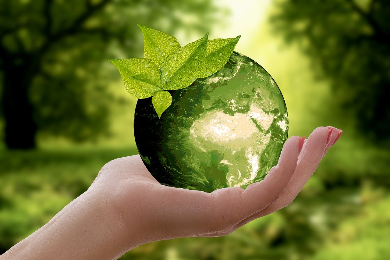 Tips For Reducing Your Carbon Footprint In Logistics