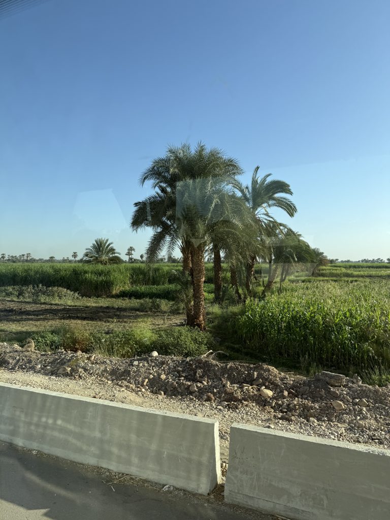 fertile land
