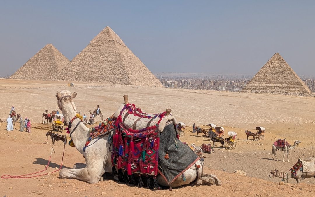 Cairo Day 2-Camels, Pyramids, & Sphinx