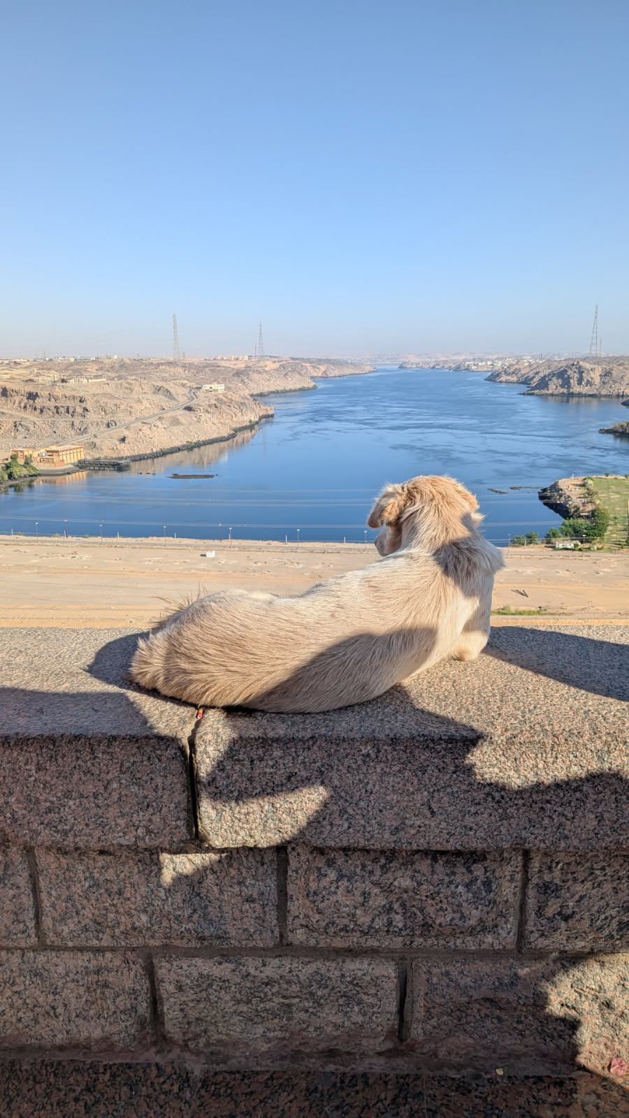 aswan dam