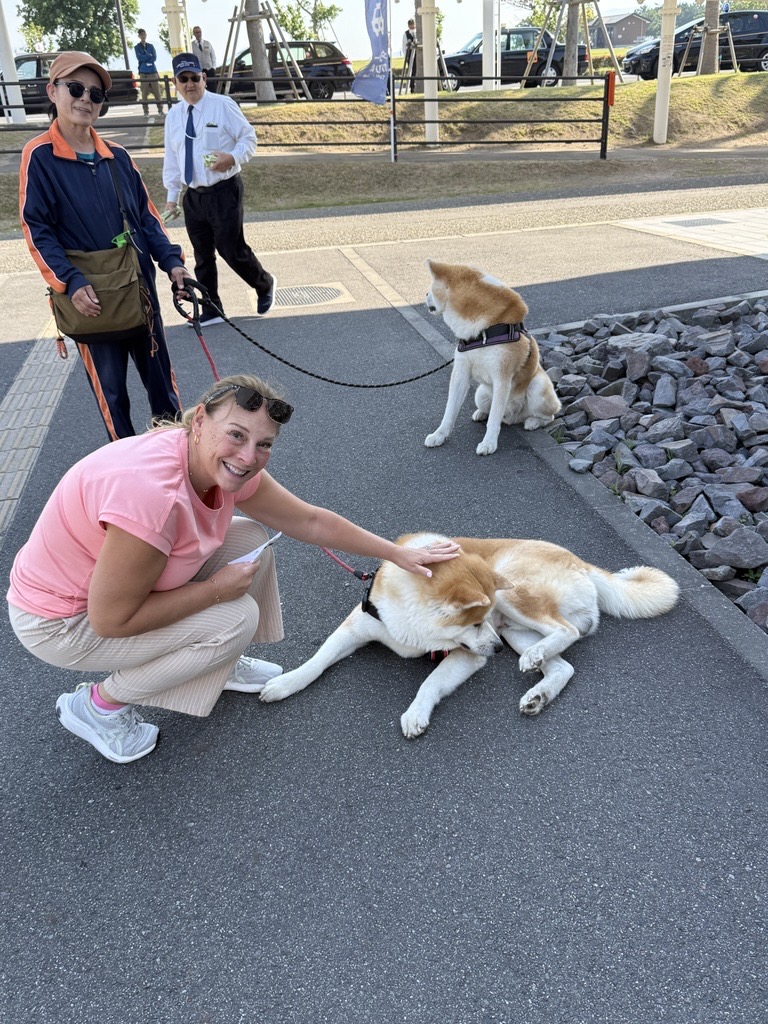 akitas