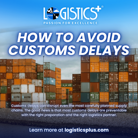 How to Avoid Customs Delays